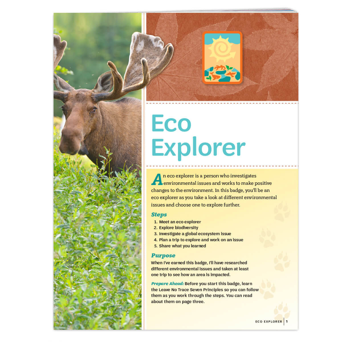 Sr. Eco Explorer REQ