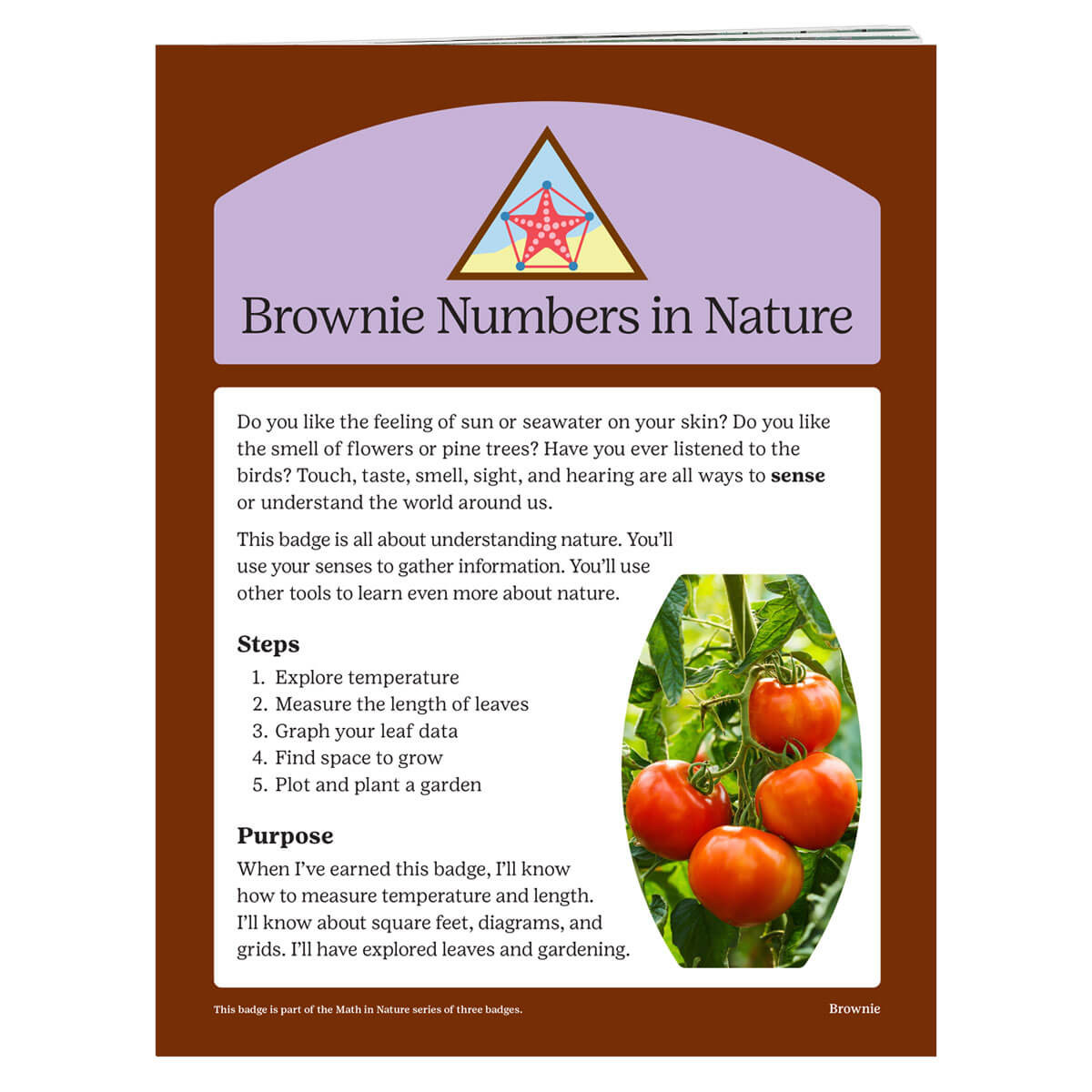 Br. Numbers In Nature REQ