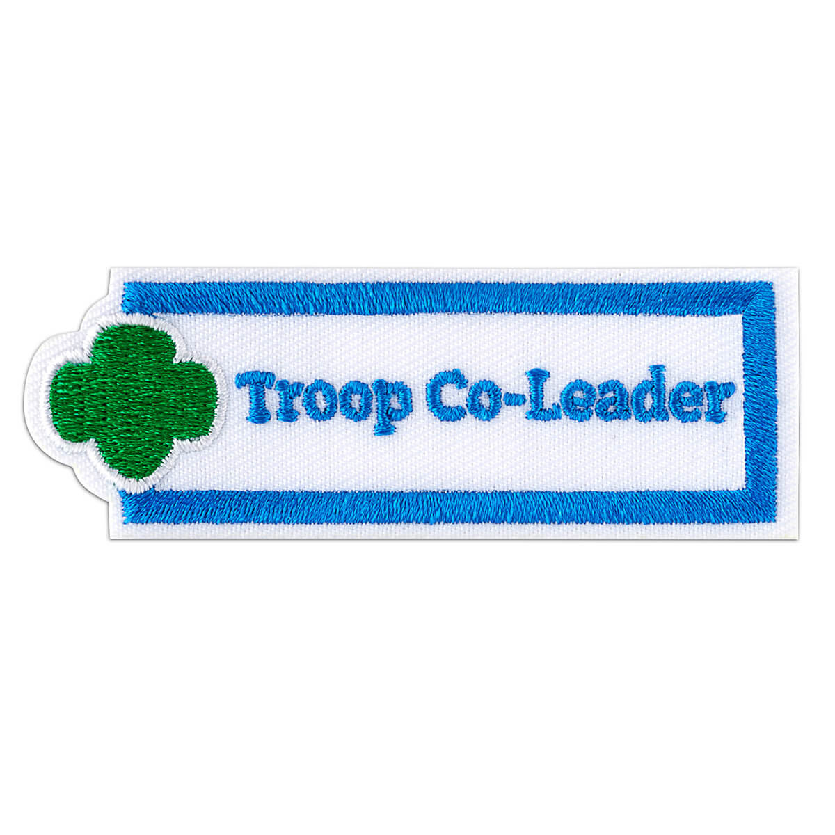 AAP - Troop Co-Leader 
