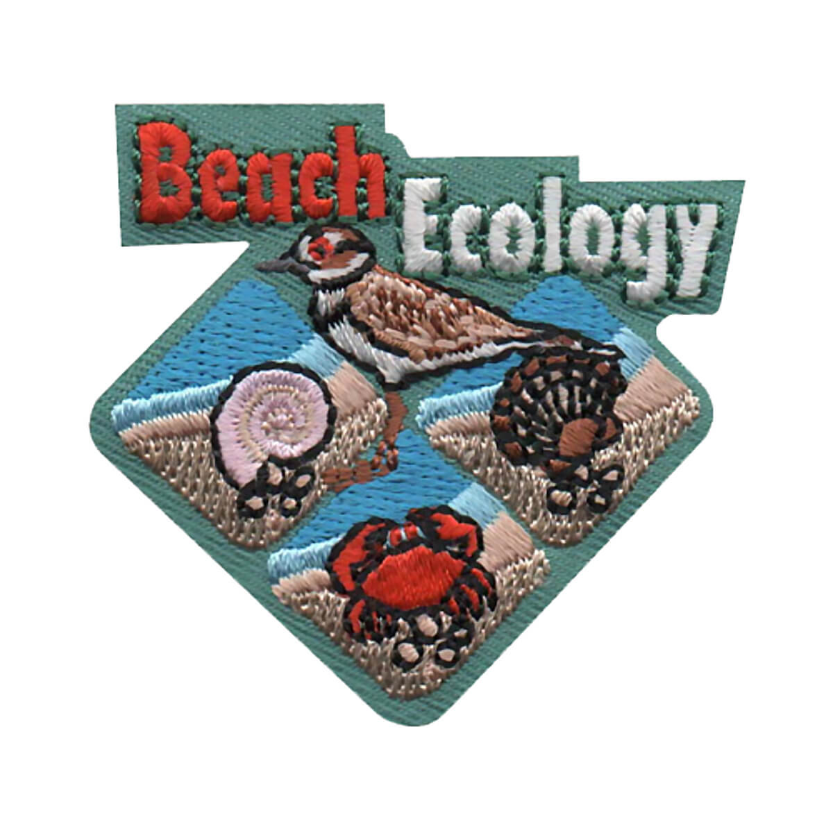 Beach Ecology - W